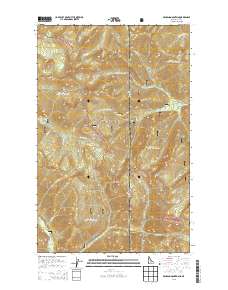 Benning Mountain 2013 topographic map thumbnail