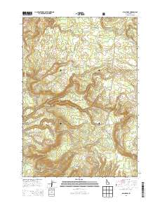 Big Grassy 2013 topographic map thumbnail