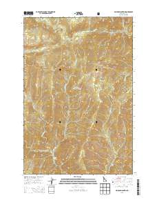 Big Rock Mountain 2013 topographic map thumbnail