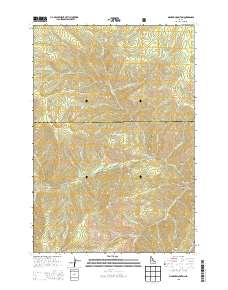 Bismark Mountain 2013 topographic map thumbnail