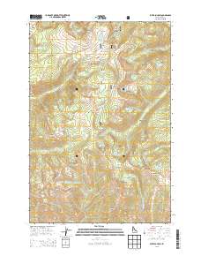 Buffalo Hump 2013 topographic map thumbnail