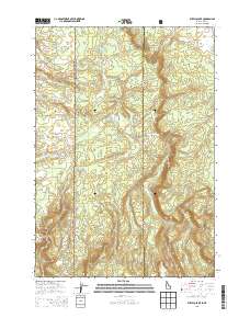 Buffalo Lake 2013 topographic map thumbnail