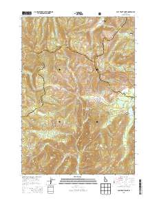 Bull Trout Point 2013 topographic map thumbnail