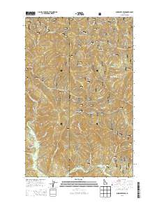 Bumblebee Peak 2013 topographic map thumbnail