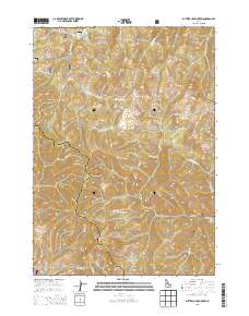 Buttercup Mountain 2013 topographic map thumbnail