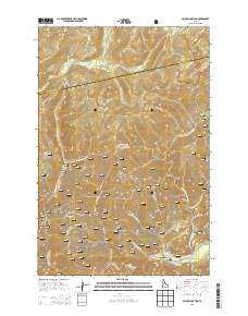 Cayuse Junction 2013 topographic map thumbnail