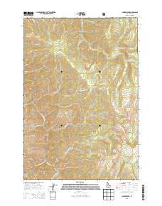 Chicken Peak 2013 topographic map thumbnail