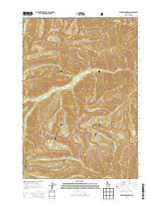 Chinook Mountain 2013 topographic map thumbnail