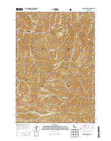 Dave Lewis Peak 2013 topographic map thumbnail