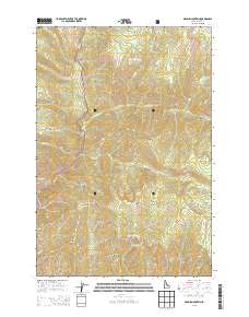 Dennis Mountain 2013 topographic map thumbnail