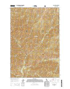 Dog Creek 2013 topographic map thumbnail