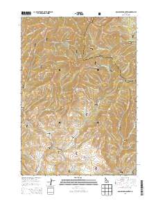 Dollarhide Mountain 2013 topographic map thumbnail