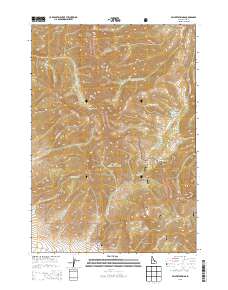 Fallert Springs 2013 topographic map thumbnail