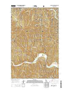 Grizzly Mountain 2013 topographic map thumbnail