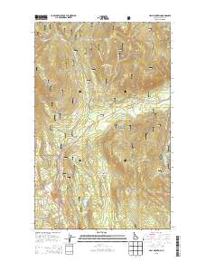 Hall Mountain 2013 topographic map thumbnail
