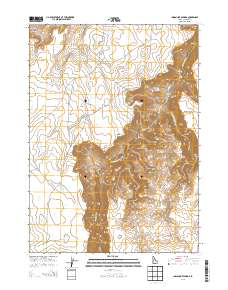 Indian Hot Springs 2013 topographic map thumbnail