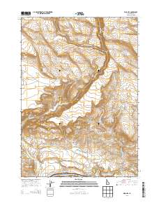 King Hill 2013 topographic map thumbnail