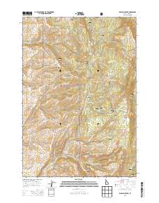 King Hill Creek 2013 topographic map thumbnail