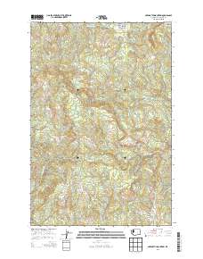 Abernathy Mountain 2013 topographic map thumbnail
