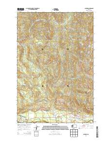 Ashford 2014 topographic map thumbnail