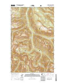 Ashnola Pass 2014 topographic map thumbnail