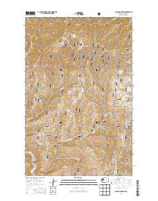 Baldy Mountain 2014 topographic map thumbnail