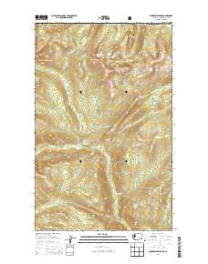 Bauerman Ridge 2014 topographic map thumbnail