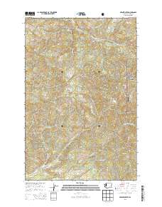 Bernier Creek 2013 topographic map thumbnail
