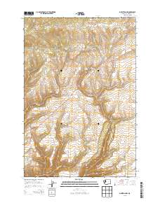 Bickleton NW 2013 topographic map thumbnail
