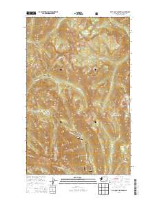 Billy Goat Mountain 2014 topographic map thumbnail