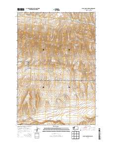 Black Rock Spring 2013 topographic map thumbnail