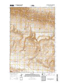 Black Rock Spring SW 2013 topographic map thumbnail