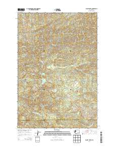 Blaney Creek 2013 topographic map thumbnail