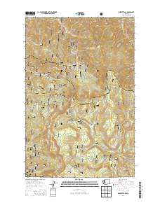 Blewett Pass 2014 topographic map thumbnail