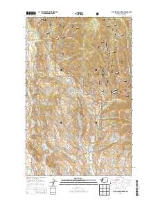 Blue Buck Mountain 2014 topographic map thumbnail