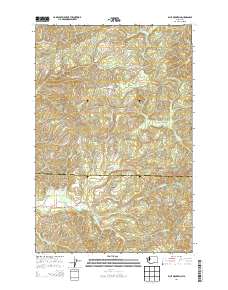 Blue Mountain 2014 topographic map thumbnail