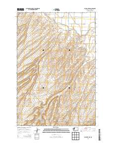 Bluelight NW 2013 topographic map thumbnail