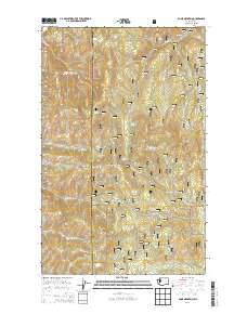 Bodie Mountain 2014 topographic map thumbnail