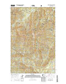 Boyer Mountain 2014 topographic map thumbnail