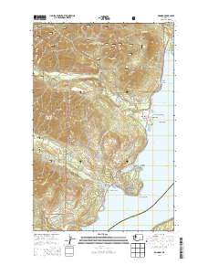 Brinnon 2014 topographic map thumbnail