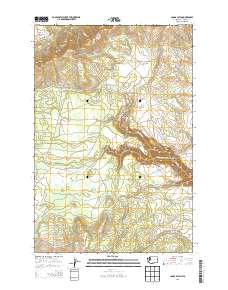 Camas Patch 2013 topographic map thumbnail