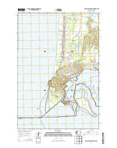 Cape Disappointment 2014 topographic map thumbnail
