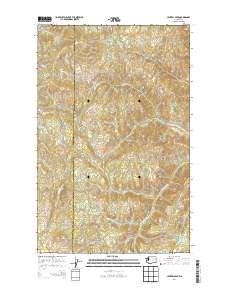 Central Peak 2014 topographic map thumbnail