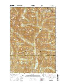 Chinook Pass 2014 topographic map thumbnail