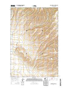 Colockum Pass SE 2014 topographic map thumbnail