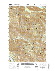 Cougar Mountain 2014 topographic map thumbnail