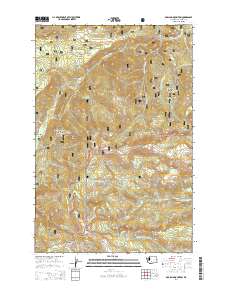 Darland Mountain 2014 topographic map thumbnail