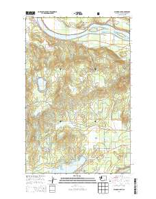 Diamond Lake 2014 topographic map thumbnail