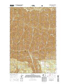 Diamond Peak 2013 topographic map thumbnail