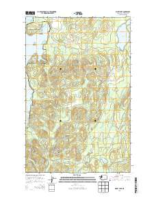Dickey Lake 2014 topographic map thumbnail